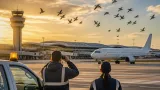 Tocumen refuerza el control de fauna ante el paso de 8,2 millones de aves